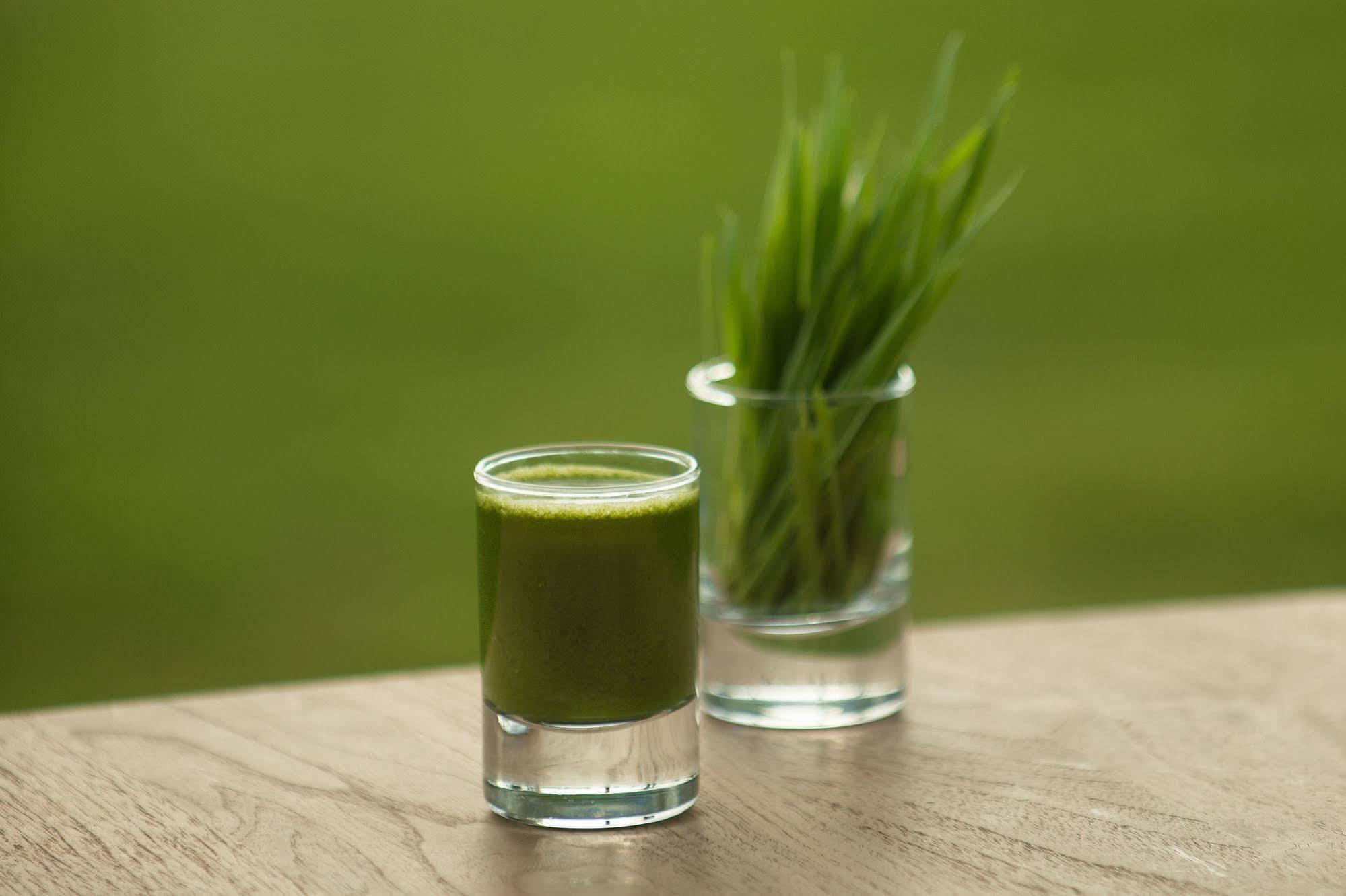 The Lifeco Antalya Well-Being Detox Center And Vegan Hotel Dış mekan fotoğraf